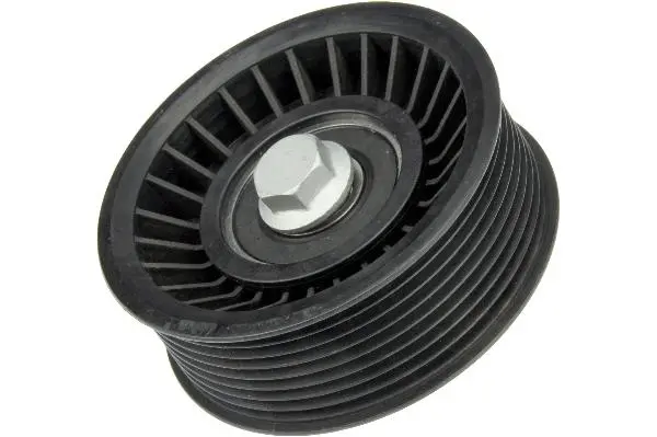 Acc. Belt Idler Pulley - Jaguar 1