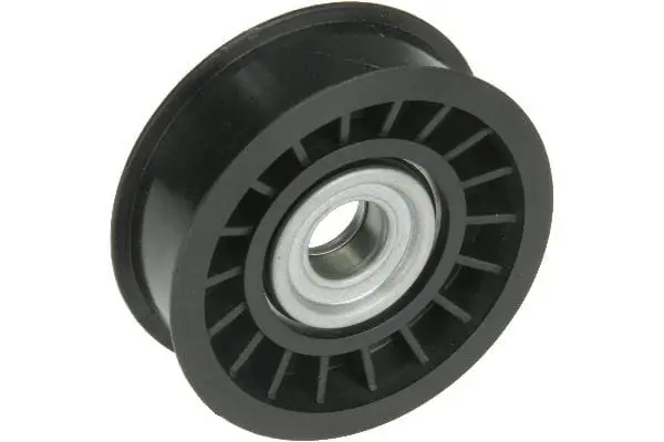 Acc. Belt Idler Pulley - Land Rover 1