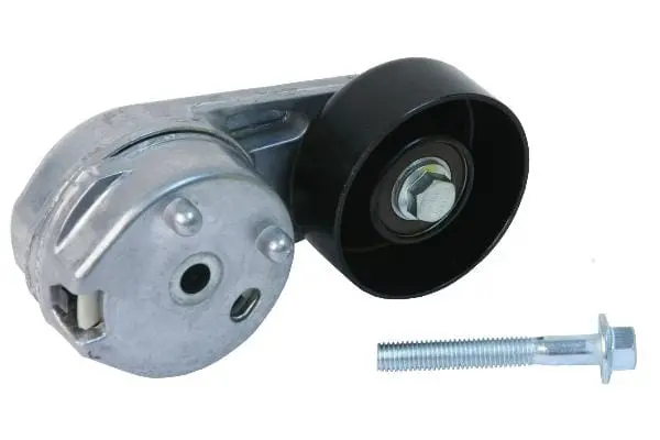 Acc. Belt Tensioner Assembly - Jaguar 1