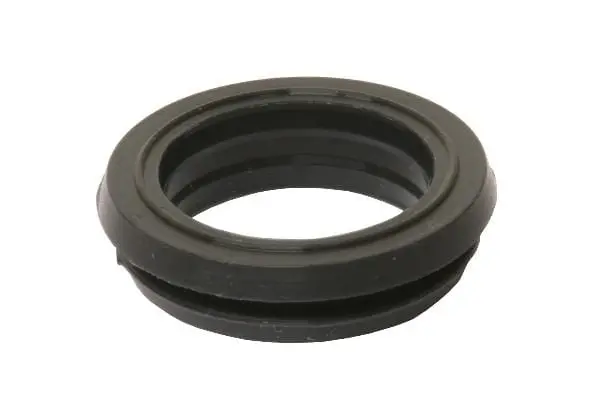Camshaft Solenoid Seal - Jaguar 1