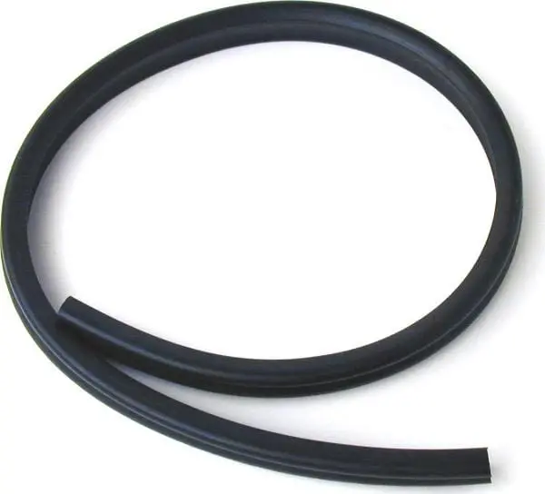 Cantrail Seal - Jaguar 1