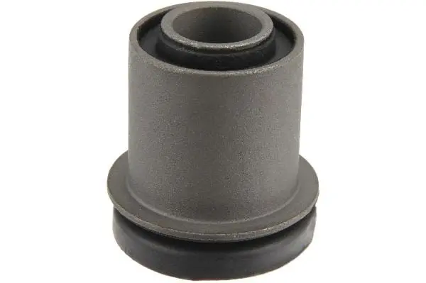 Control Arm Bushing - Jaguar 1