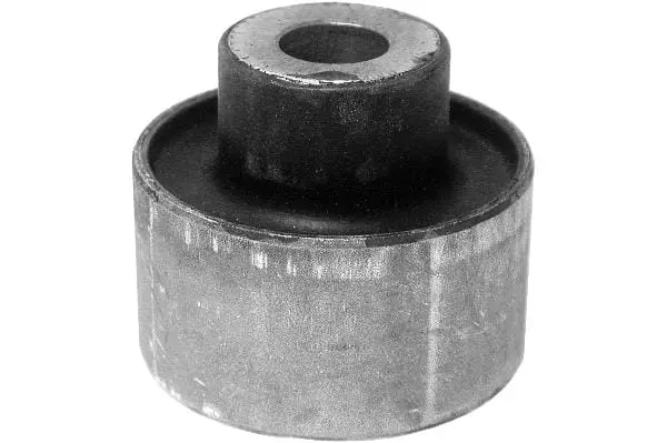 Control Arm Bushing - Volvo 1