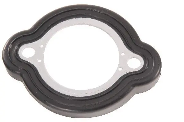Coolant Pipe Gasket - Bmw 1