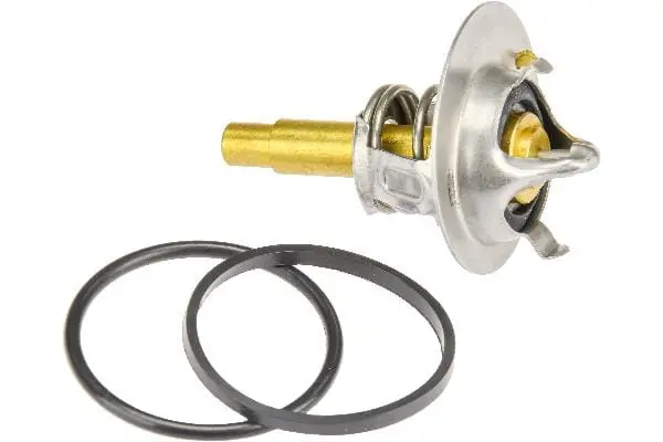 Coolant Thermostat - Mercedes 1
