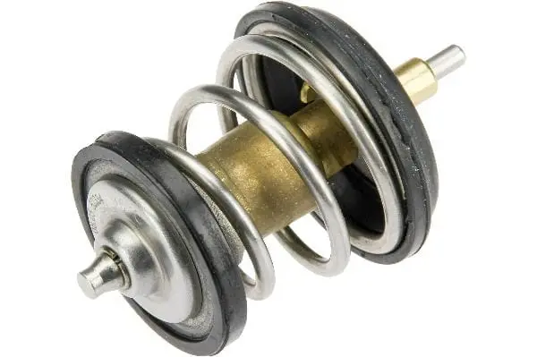 Coolant Thermostat - Vw/Audi 1