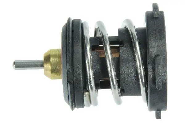Coolant Thermostat - Vw/Audi 1