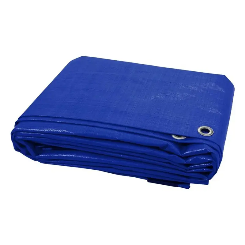 Dekton Tarpaulin 6Ft X 9Ft 65 Gsm - Blue 1