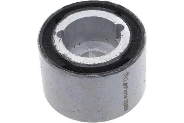 Differential Mount - Mercedes 1