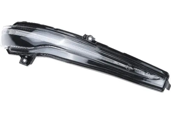 Door Mirror Turn Signal Light - Mercedes 1