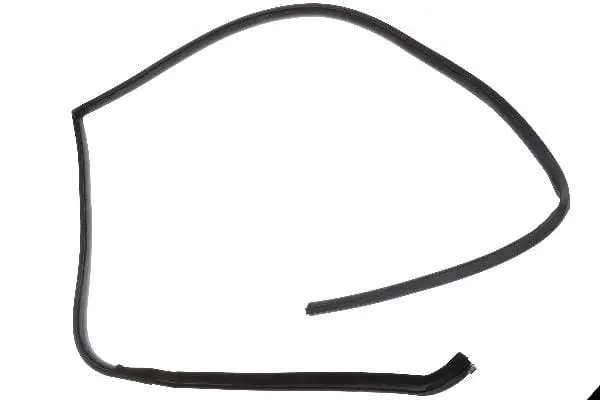Door Seal - Jaguar 1