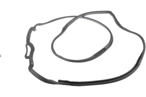 Door Seal - Mercedes 1