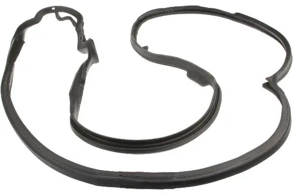 Door Seal - Mercedes 1