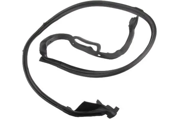 Door Seal - Mercedes 1