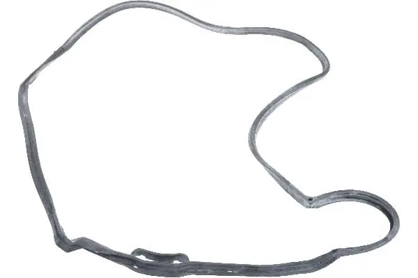Door Seal - Mercedes 1