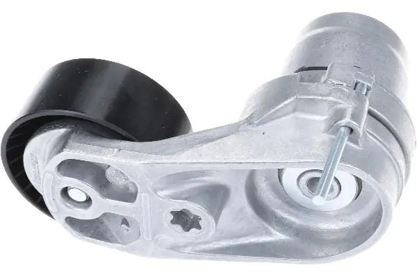 Drive Belt Tensioner W/Pulley - Bmw 2