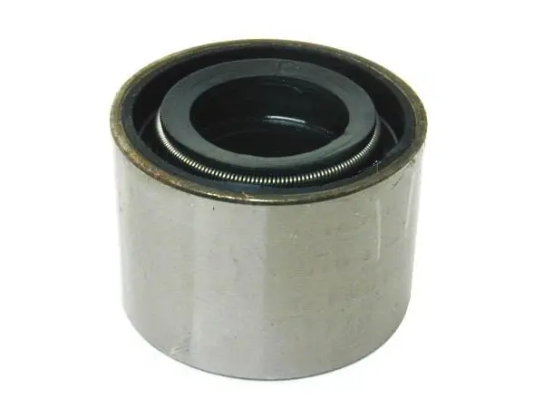 Driveshaft Centering Bushing - Jaguar 1