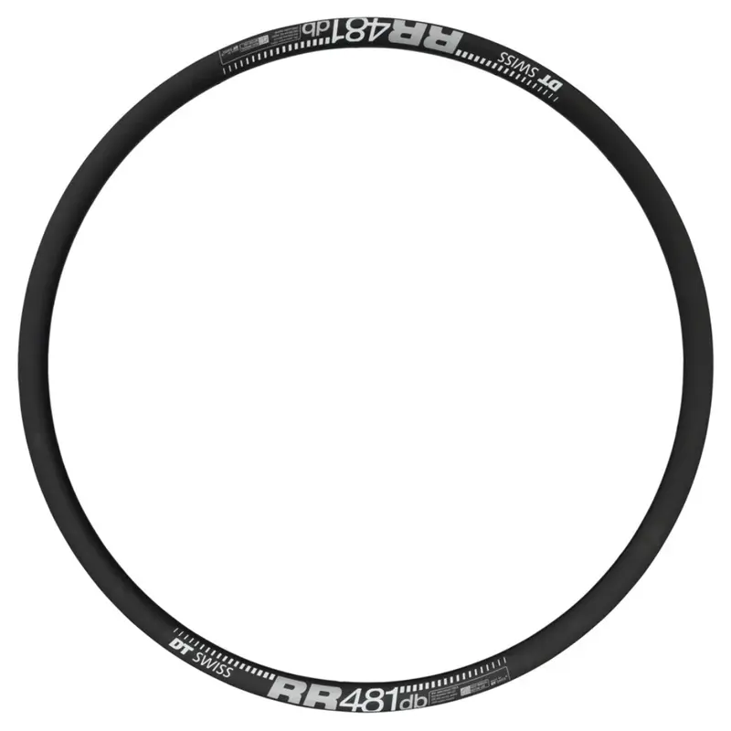 Dt Swiss Rr 481 Disc Rim 1