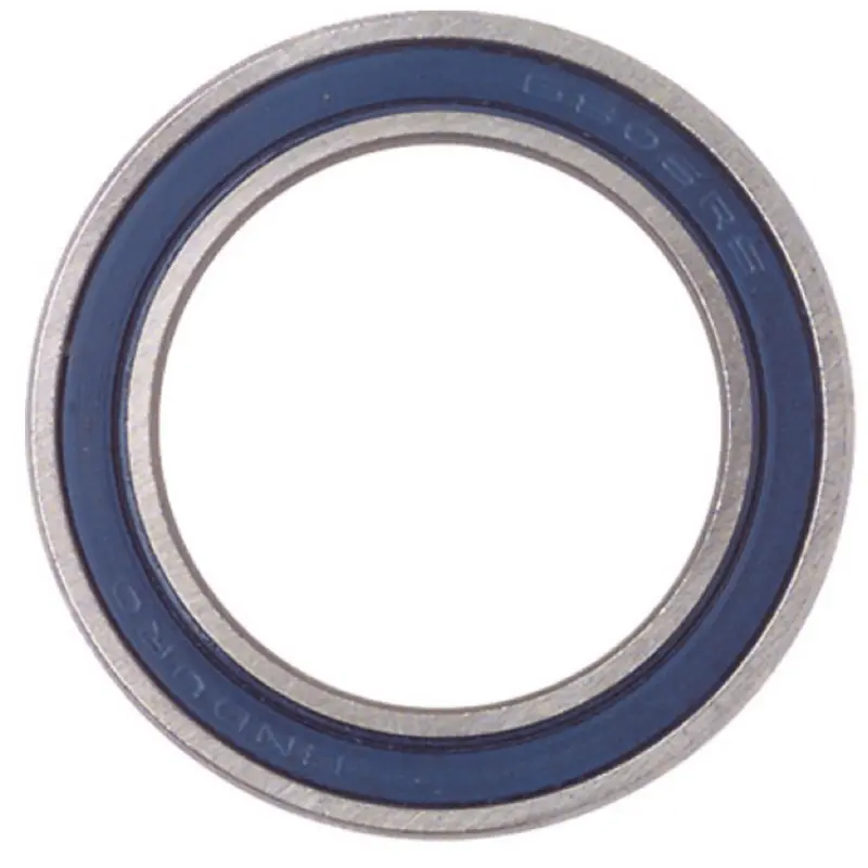 Enduro 6003 Bearing 1