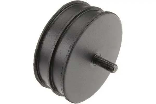 Engine Mount - Jaguar 1