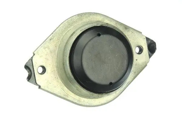 Engine Mount - Mercedes 1