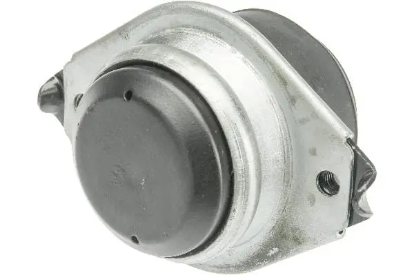 Engine Mount - Mercedes 1