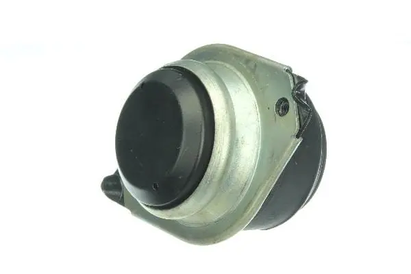 Engine Mount - Mercedes 1
