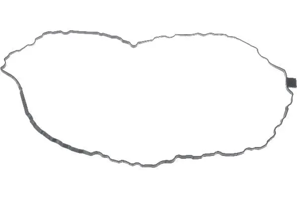 Engine Oil Pan Gasket - Vw/Audi 1