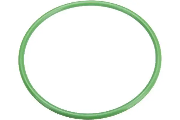 Fuel Filter O-Ring - Land Rover 1