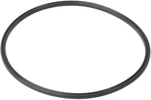 Fuel Pump Assembly O-Ring - Volvo 1
