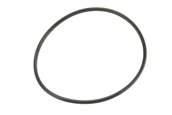 Fuel Pump Assembly Sealing O-Ring - Mercedes 1