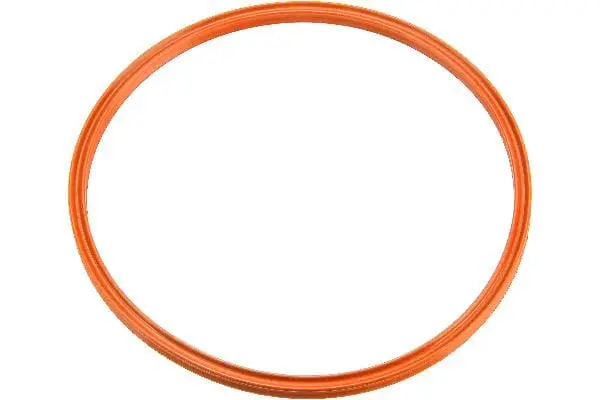 Fuel Pump/Filter O-Ring - Mercedes 1