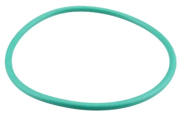 Fuel Pump O-Ring - Volvo 1
