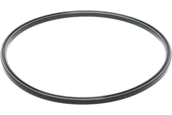 Fuel Pump O-Ring - Volvo 1
