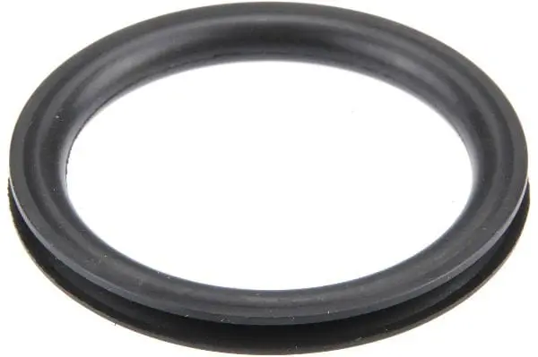 Fuel Tank Cap Seal - Vw/Audi 1