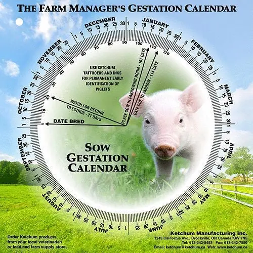 Gestation Wheel Calendars 1