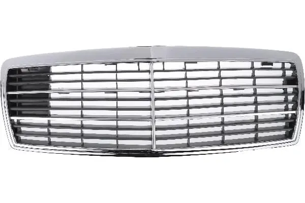 Grille Assembly - Mercedes 1