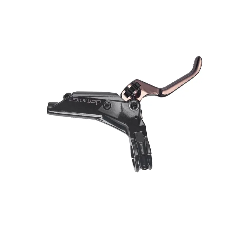 Hayes Dominion Master Cylinder + Lever 2
