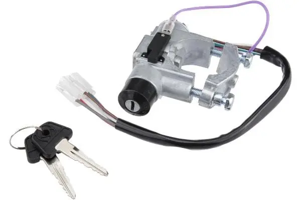 Ignition Lock Cylinder W/ Keys - Mg 1