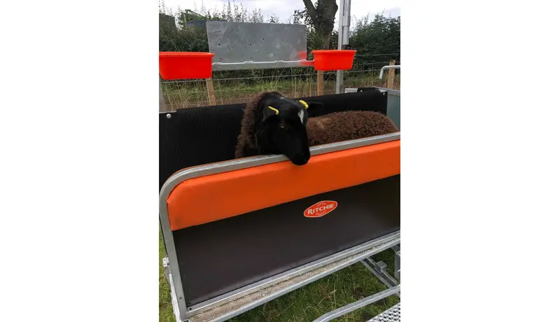 Lamb Cushion Wall For Combi Clamp 1