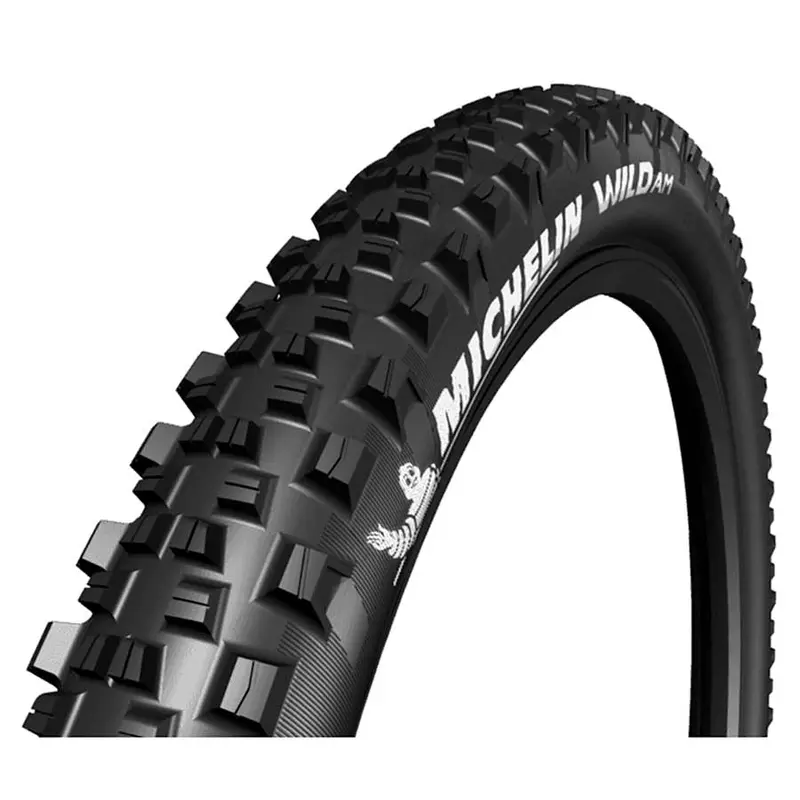 Michelin Wild Am Comp 1