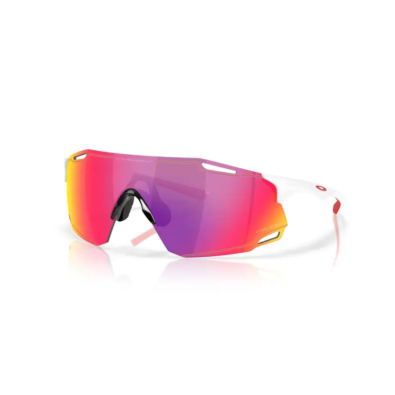 Oakley Cybr Dyno 1