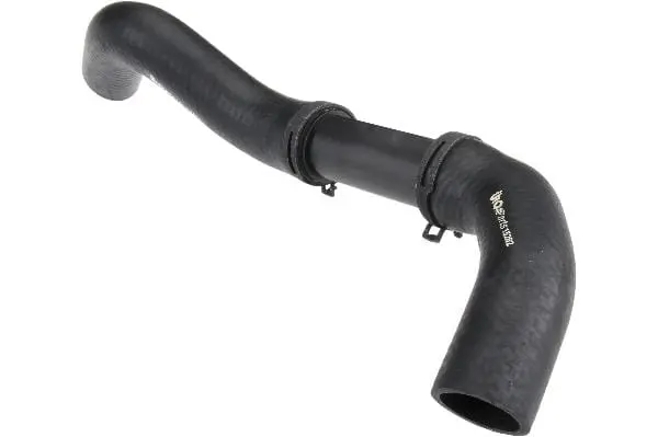Radiator Hose - Jaguar 1