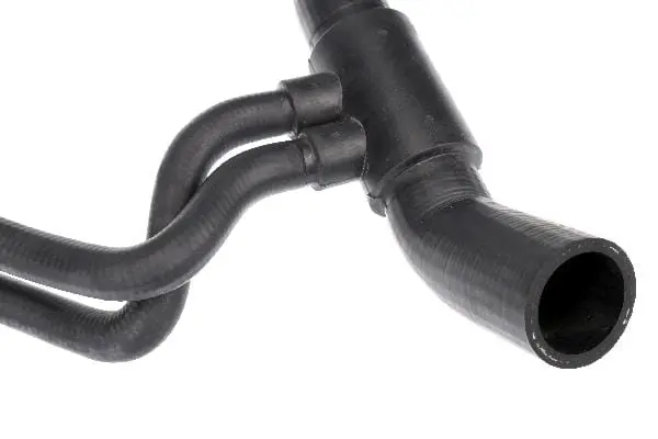 Radiator Hose - Jaguar 2