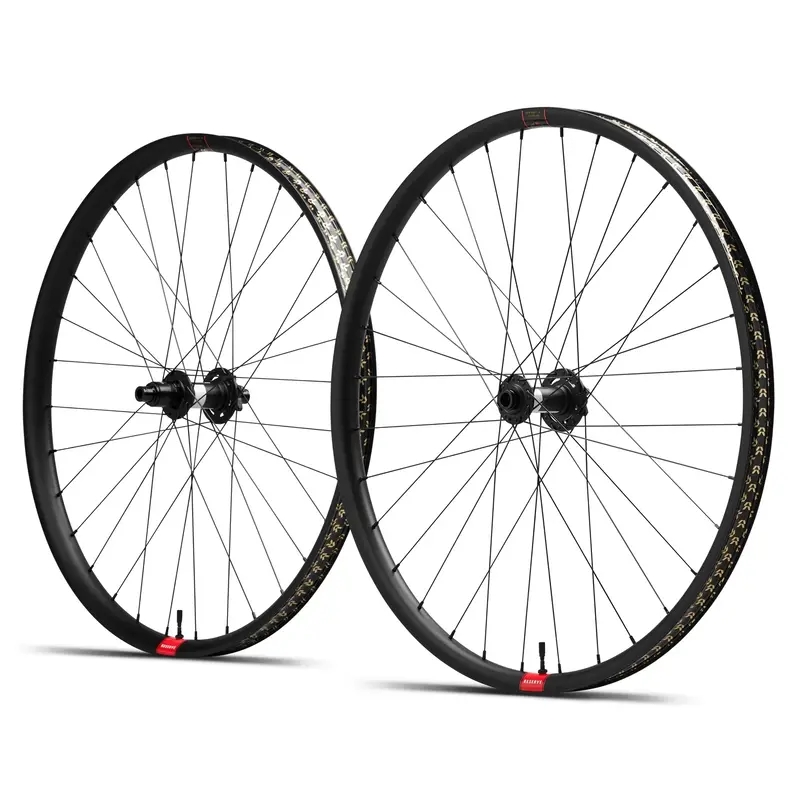 Reserve 30|Hd Al Dt 350 Xd Wheelset Dh 110/157 1
