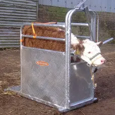 Ritchie Calf Dehorning Chute 1