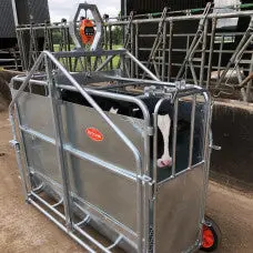 Ritchie Calf Weighing Crate On Wheels - 345G & 345Ge & 345G-100 4