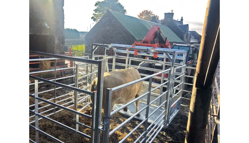 Ritchie Calving Cube - 320Calf 1