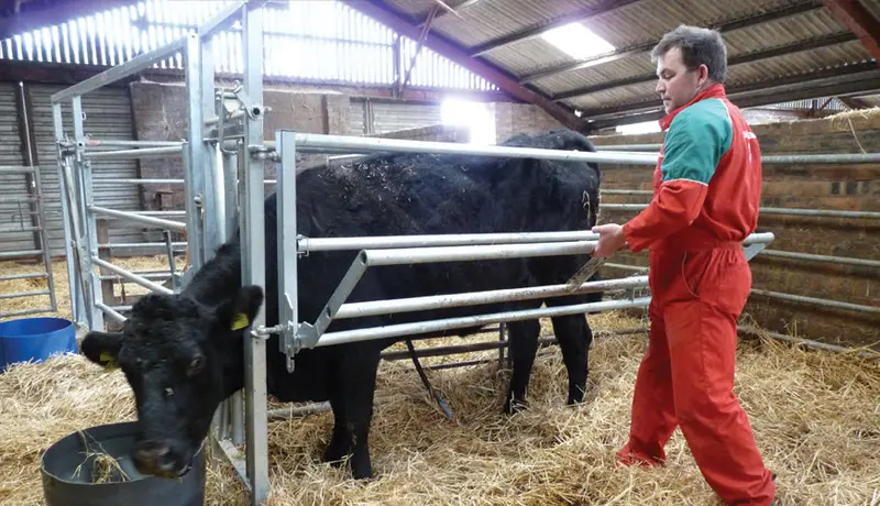 Ritchie Calving Gate 1060G 1