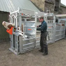 Ritchie Cattle Squeeze Chute - Automatic Yoke -311Gauto 1